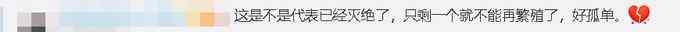 防止被盗 全球最后一只白色长颈鹿被“定位” 网友：它看起来好孤单啊