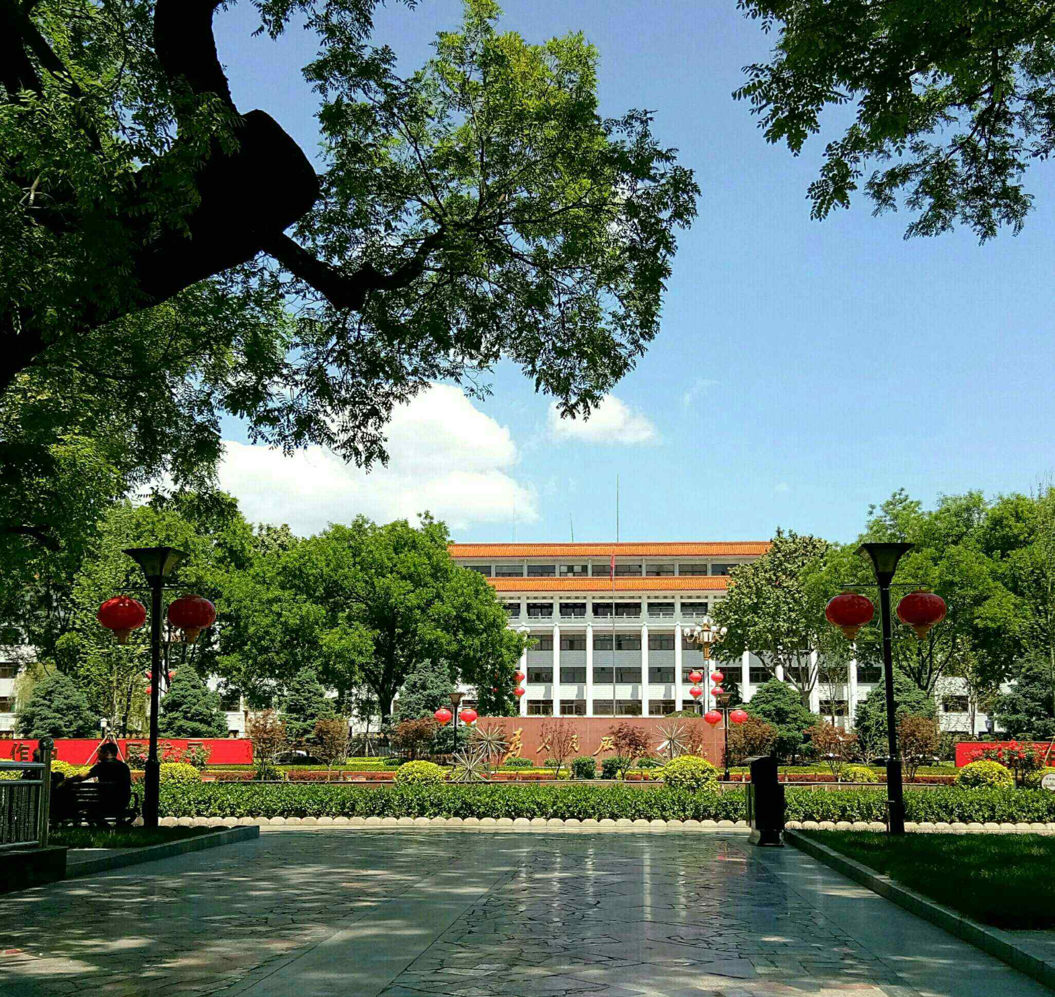 正定天宁寺 千年文明古城见证者“正定古树”