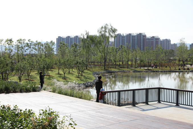 建筑垃圾竟能“堆山造景”！密云这片裸露土地变身“美丽花海”