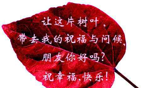 艳阳高照下一句接哪些赏诗会