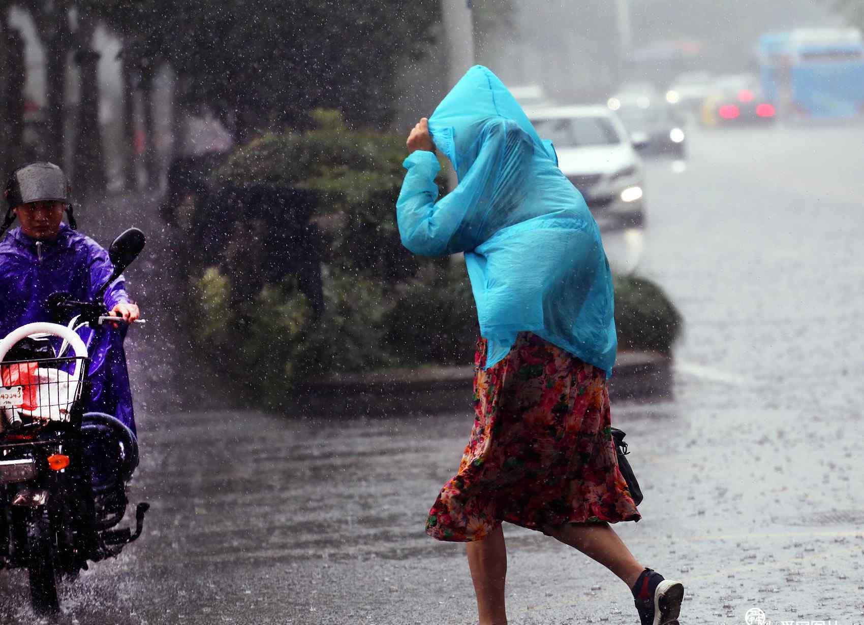 南京台风 台风“美莎克”来袭 南京暴雨倾盆送“清凉”
