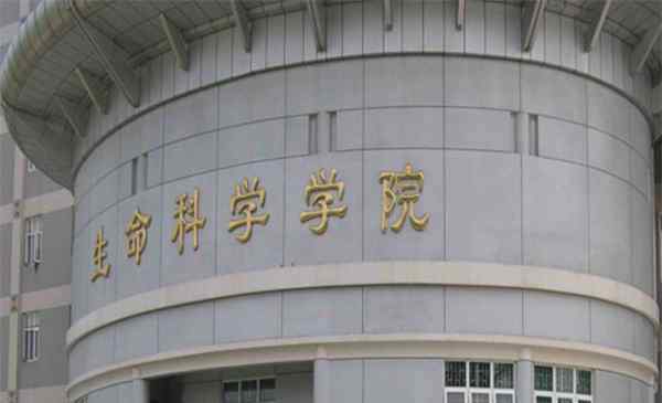 报名夏令营 武汉大学夏令营报名系统（报名要求+报名时间）