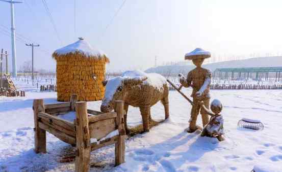 华中小镇白石山居业主文苑 | 我爱你 小镇的雪