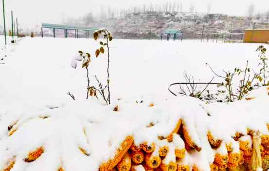 华中小镇白石山居业主文苑 | 我爱你 小镇的雪