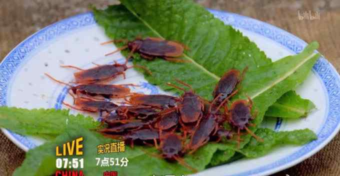 “武则天”吃蟑螂、竹鼠？澳儿童频道播丑化中国人节目 澳华人怒了
