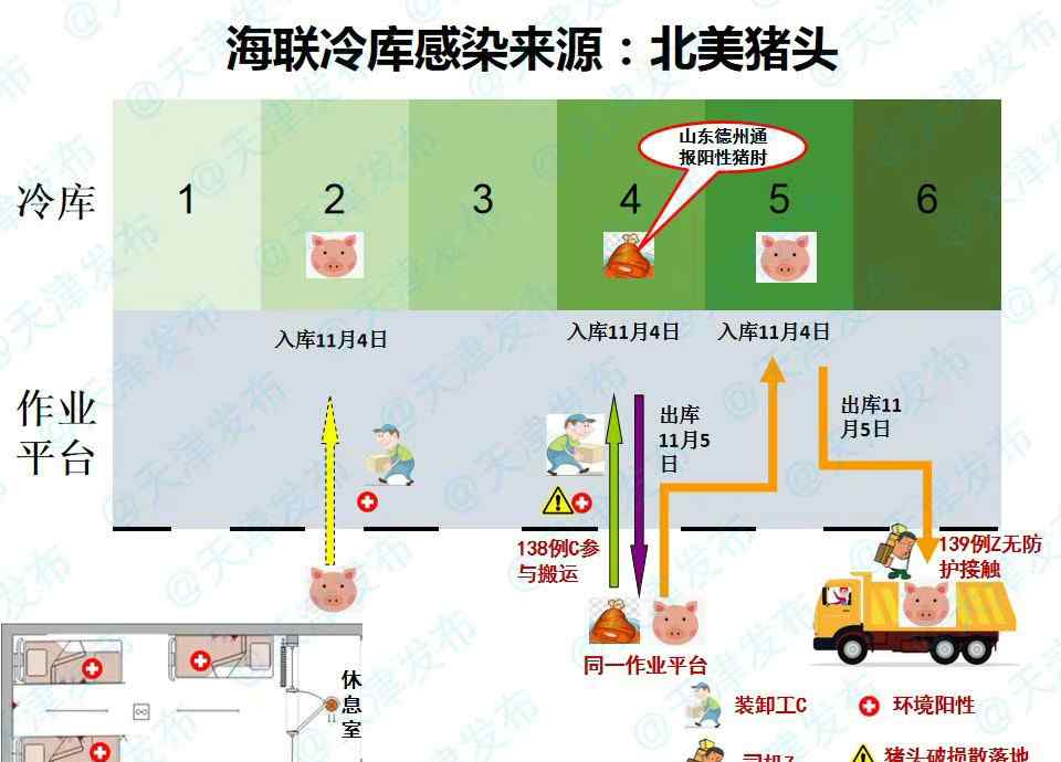 天津海联冷库感染来源为北美猪头 究竟是怎么一回事