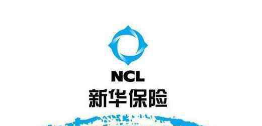 新华人寿保险保单查询 新华保险保单查询怎么查，新华保险怎么查询个人保单？