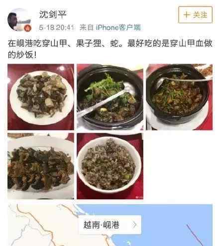 穿山甲怎么吃 节操在哪？食用穿山甲被解聘 以为跑到国外去吃就不会被追究？