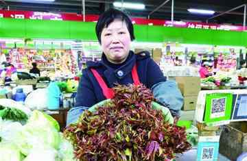 香椿芽多少钱一斤 香椿荠菜抢鲜上市，香椿价格高每斤70至100元！