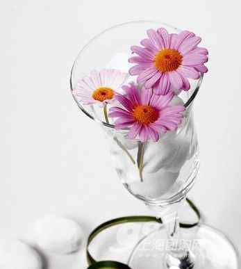 阳光收集瓶 消暑小情趣 6款玻璃瓶创意插花