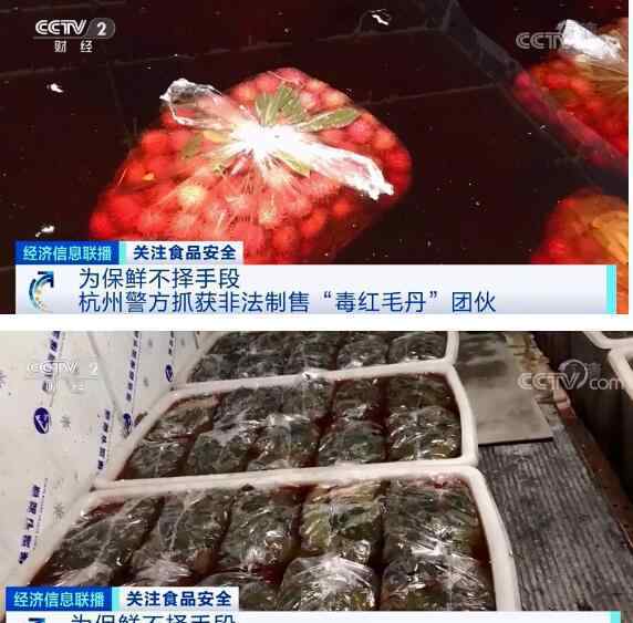 央视报道绿叶爱生活 【央视重磅曝光】商贩用工业稀硫酸泡水果 黑心商贩窝点曝光 网友:丧良心