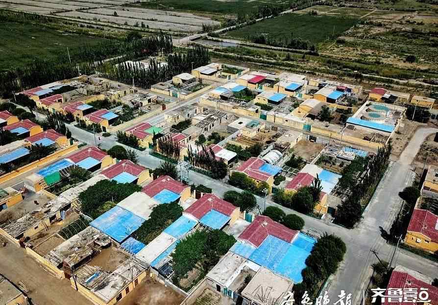 新疆刀郎羊 日照对口援建喀什地区麦盖提县：从0到1的突破