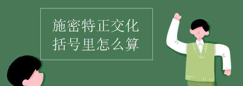 施密特正交化 施密特正交化括号里怎么算