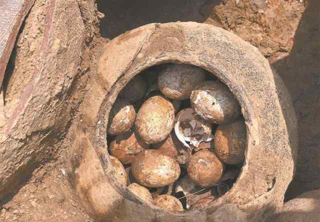 2500年前的鸡蛋 2500年前的鸡蛋竟长这样 春秋古墓惊现一罐鸡蛋微有青色