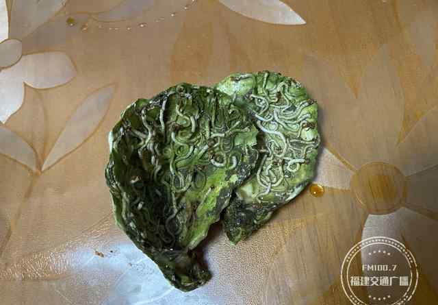 生蚝有寄生虫吗 网上买的生蚝，竟含有大量蛆虫？顾客说吃吐了