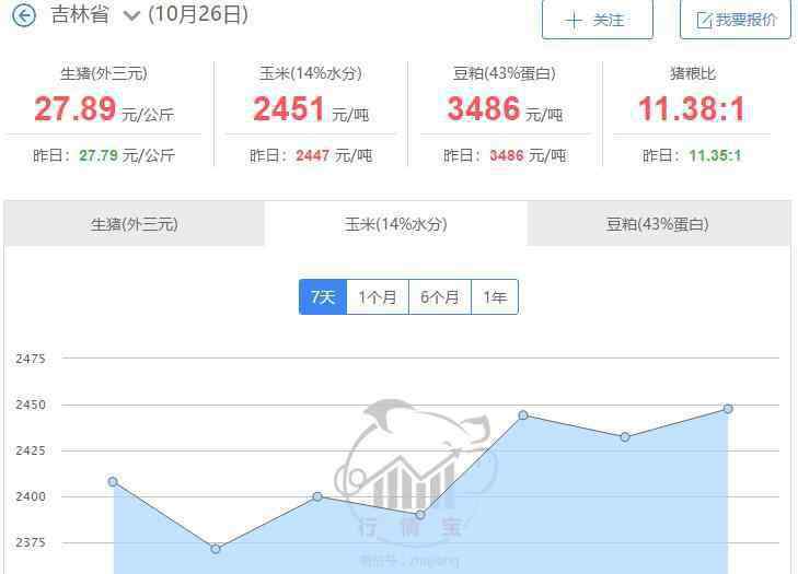 东北玉米最新价格 东北玉米最新价格多少，东北玉米产量每亩多少斤