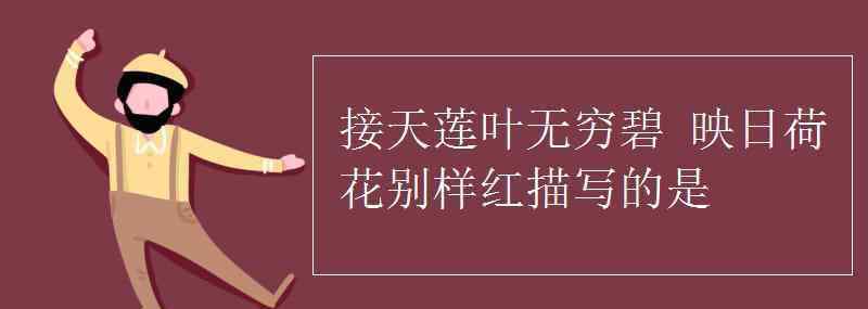 接天莲叶无穷碧映日荷花别样红 接天莲叶无穷碧 映日荷花别样红描写的是