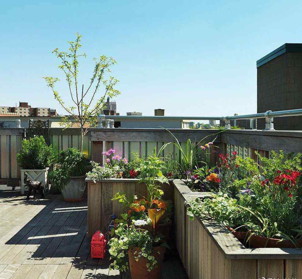 屋顶花园植物 干货丨屋顶花园装修技巧和注意事项