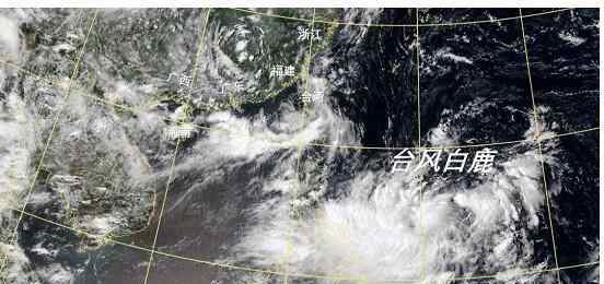 11号台风白鹿 【台风白鹿路径】第11号台风“白鹿”预计将登陆 这些地区做好防范