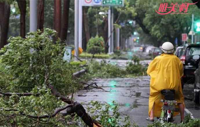 台风苗柏在哪里登陆 台风苗柏登录广州 广州多个机场已经关闭