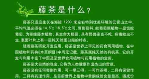 莓茶的功效与作用禁用 莓茶的功效与作用有哪些 服用莓茶的好处多