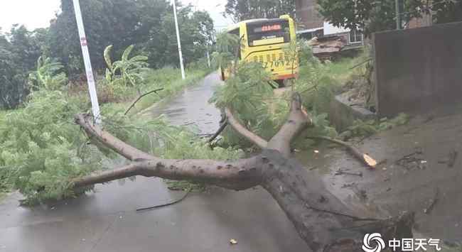 凡比亚 二手台风？白鹿二次登陆福建 台风路径跟“凡比亚”相似