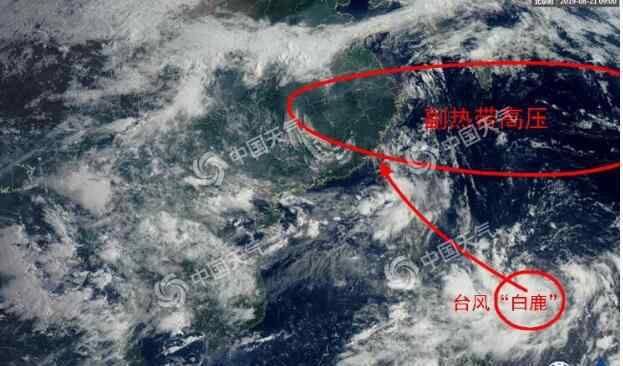 台风海燕最新消息 台风实时路径发布系统:11号台风白鹿最新消息 “白鹿”前世是台风“海燕”