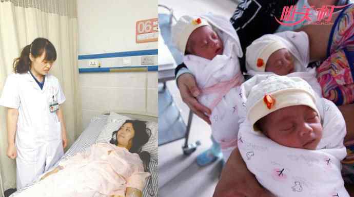 单卵三胞胎 成都女子诞下单卵三胞胎 医学上的稀奇事医院举行祝福仪式