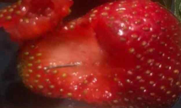 澳大利亚草莓藏针 真相细思极恐!澳大利亚草莓藏针究竟怎么回事?背后原因及详情令人发指