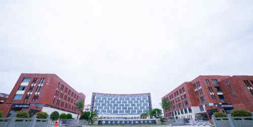 卓雅教育集团荣获新浪教育大奖 综合办学实力再获认可