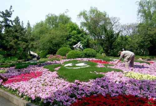 花坛效果图 花坛效果图2017款 花坛有哪些不同的类型