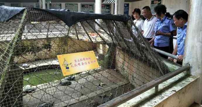 海口动物园 海口动物园成炼狱 园内尸横遍野动物大多饿死