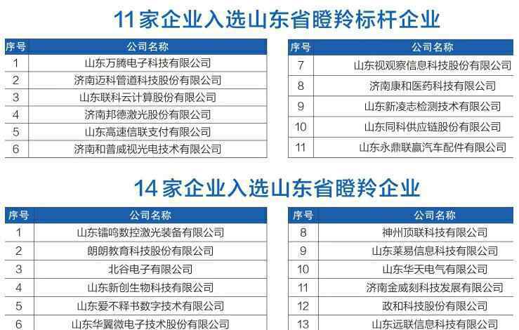 瞪羚 2018年度山东省瞪羚企业榜单发布 济南25家企业上榜
