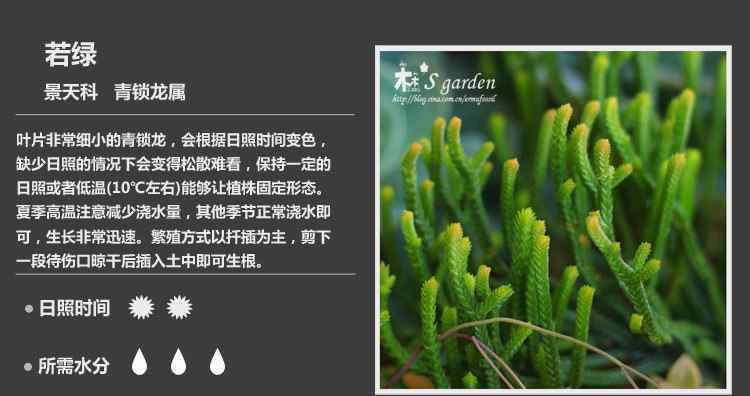 1000种多肉植物图鉴 实用|终于收齐150种多肉植物图鉴，再也不愁叫不出名字了