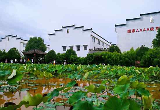 浦城旅游 舜网记者在浦城：工厂变景区 小蜜包酒醉游人