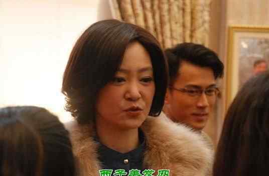 刘丹的儿子 李馥莹的儿子是谁 李馥莹儿子刘恺威资料