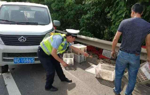 小龙虾百慕大翻车 神奇！小龙虾百慕大翻车 货车在此总是难逃厄运 虾也被压成“虾饼”