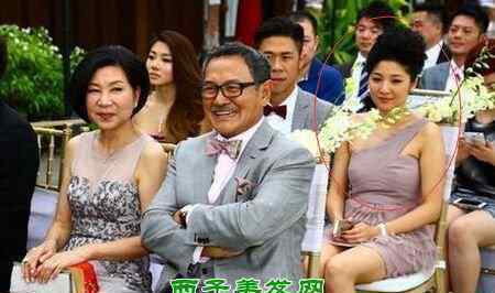 刘丹的儿子 李馥莹的儿子是谁 李馥莹儿子刘恺威资料