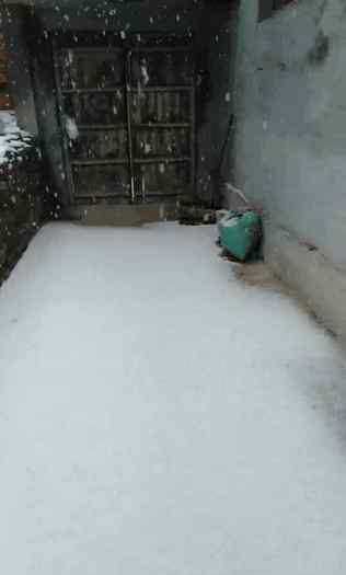 济南下雪 静待初雪~大雪马上到济南！山东局地暴雪，积雪超12厘米！