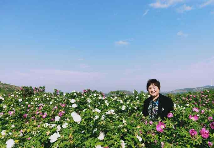 玫瑰花期 [济南故事] 花农唐华的15个玫瑰花期