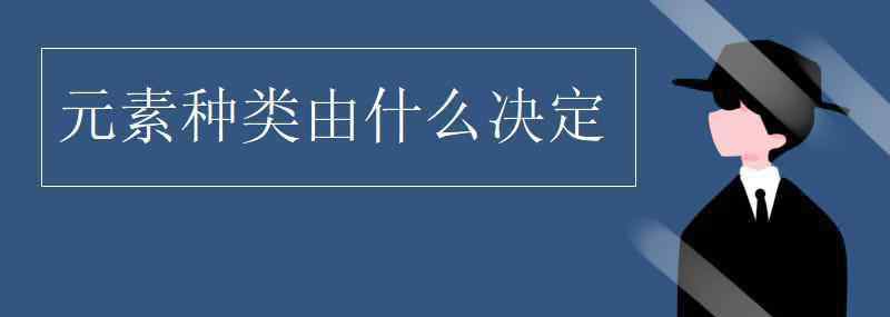 决定元素种类的是 元素种类由什么决定