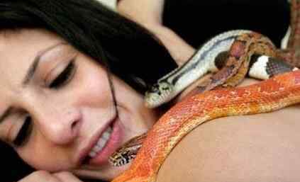 山西大蛇 惊魂蛇式按摩!18岁女孩同意躺下，让一条无毒大蛇在她的腹部爬来爬去