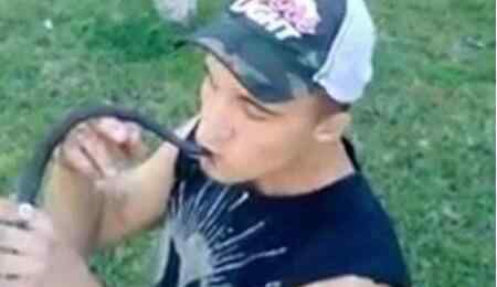 腹蛇 没事干去亲吻水腹蛇，这下过瘾了吧！男子被咬成香肠嘴