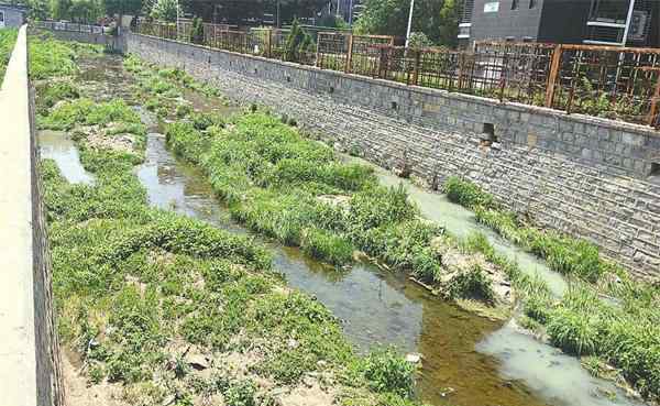 路劲御景城 南大明沟路劲御景城小区段河底污水如泉涌 刺鼻臭味弥漫