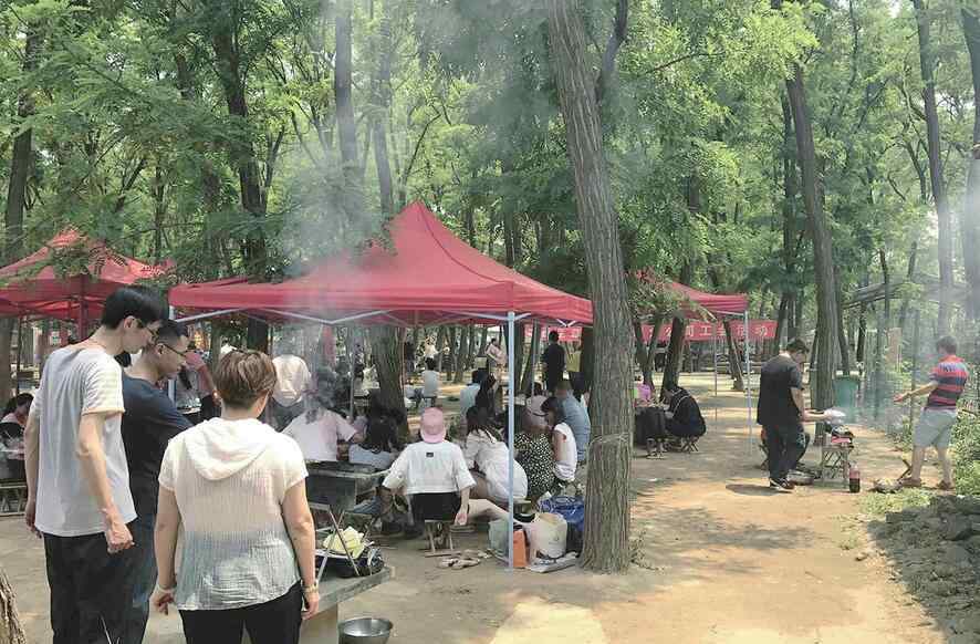 森林公园烧烤 济南黄河森林公园大型露天烧烤任性 没有人来管油烟这事儿