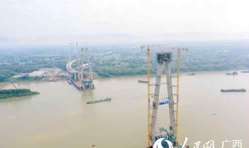 广西平南新闻 广西最大跨径斜拉桥平南相思洲特大桥主塔顺利封顶