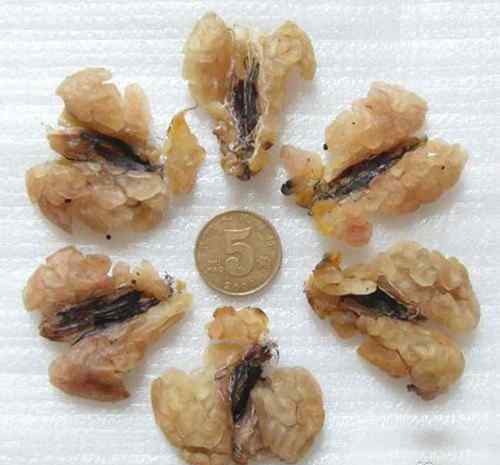 林蛙油的副作用 蛤蟆油的功效与作用及食用方法 蛤蟆油的副作用