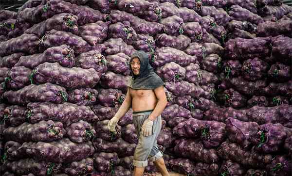 蔬菜装卸工日结 济南：蔬菜专职搬运工 装卸一吨赚12元