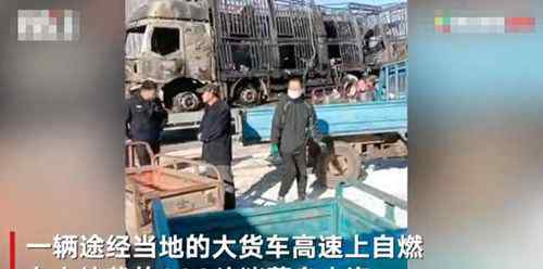 货车起火上百头猪葬身火海 无人员伤亡真相是什么？