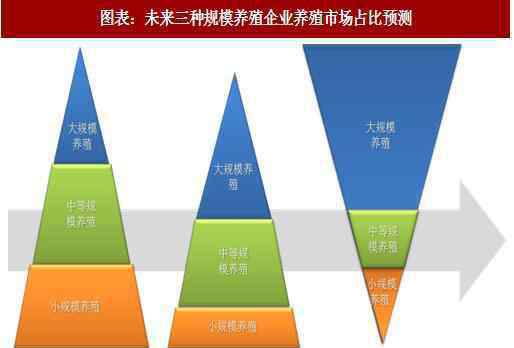 养殖业可行性报告 解析中国生猪养殖 生猪养殖可行性报告